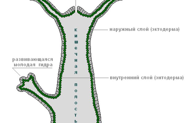 Кракен даркнет ссылка на сайт