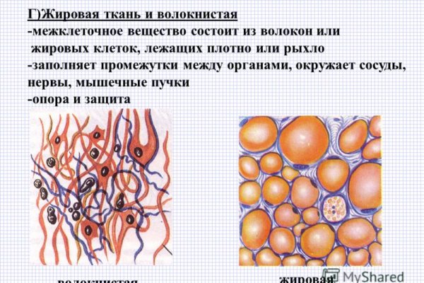 Рабочая ссылка на кракен